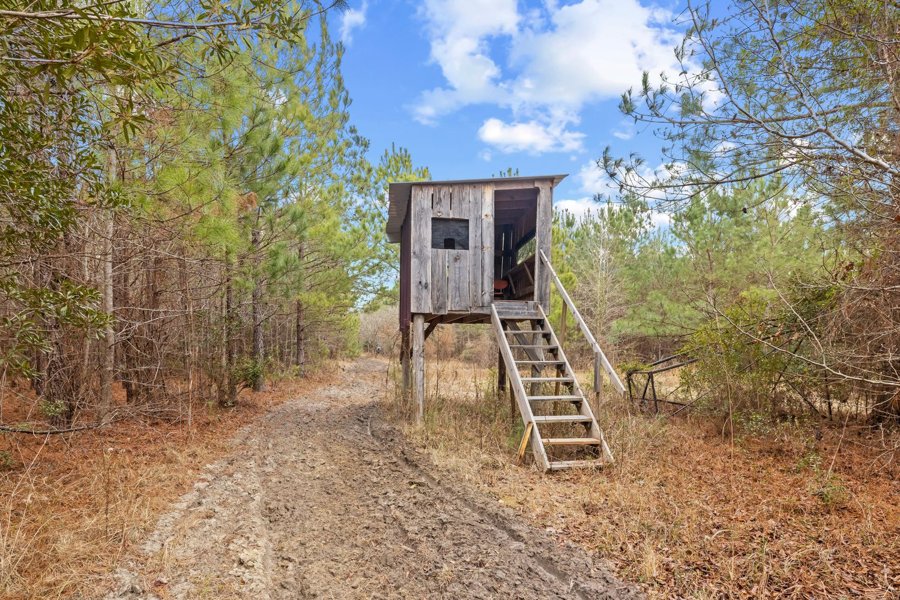 Blakely Plantation, Salters, SC