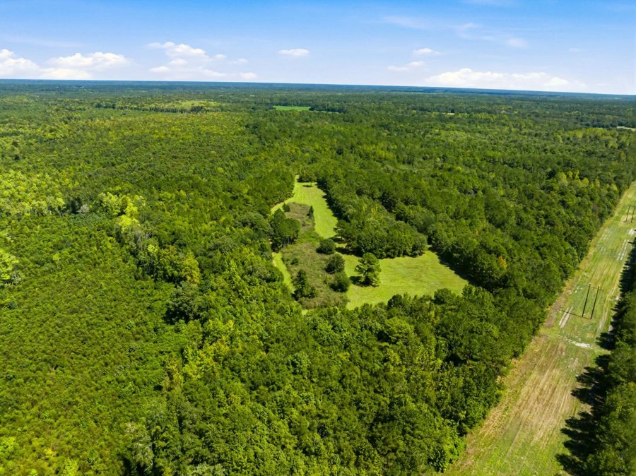 Aerial view of Tanglewood Plantation